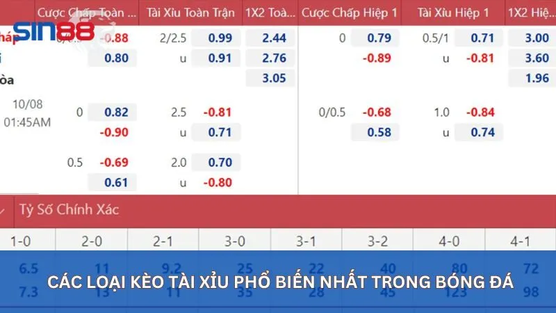 Các loại kèo tài xỉu phổ biến nhất trong bóng đá