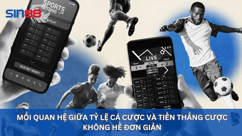 Mối quan hệ giữa tỷ lệ cá cược và tiền thắng cược không hề đơn giản