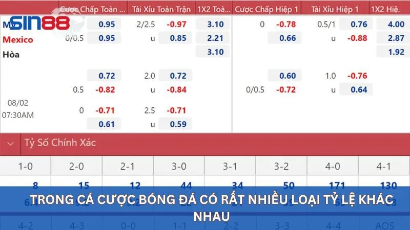 Một số loại tỷ lệ cá cược phổ biến mà người chơi nên biết